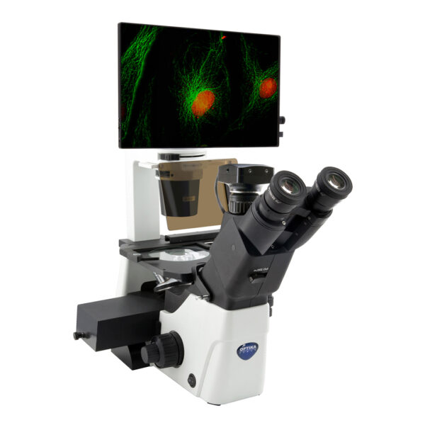 Microscopio invertito a fluorescenza LED con Tablet